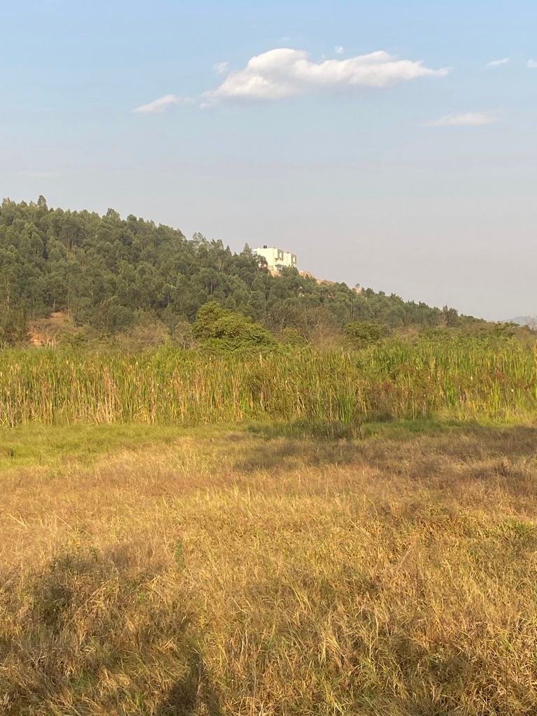 Rwanda - rural scenery on a hill